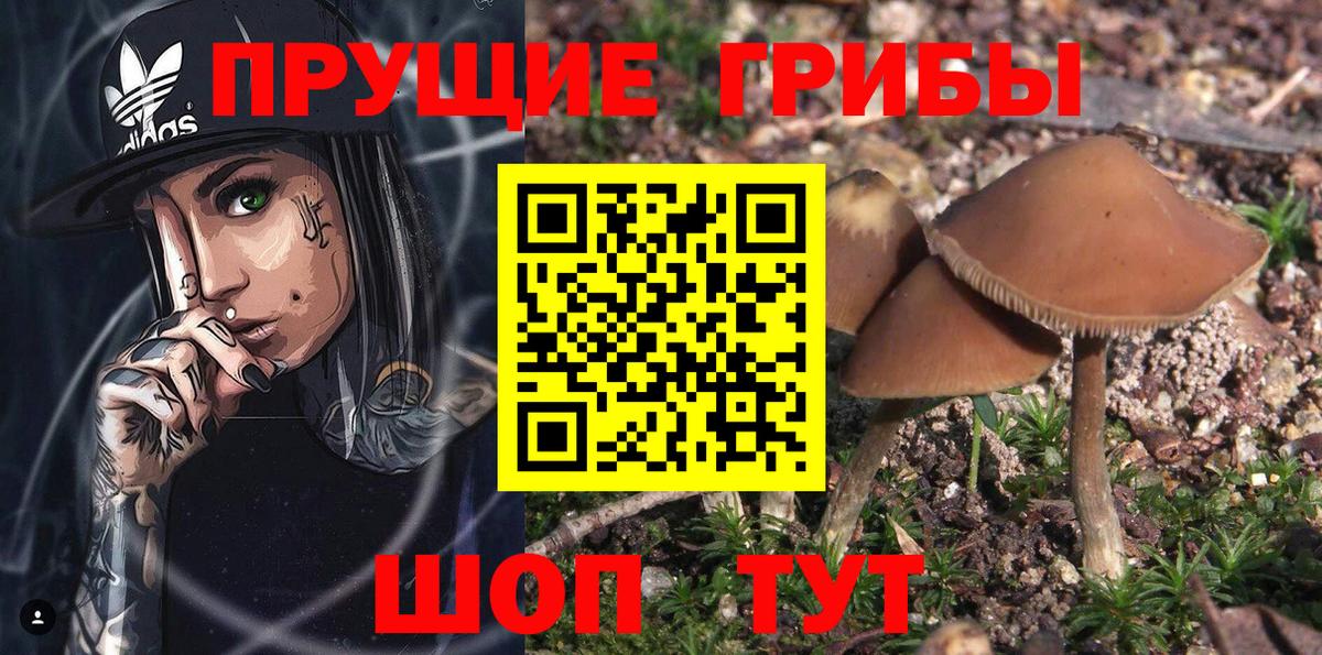 Кушва  Псилоцибиновые грибы MAGIC MUSHROOMS  Вход с VPN 