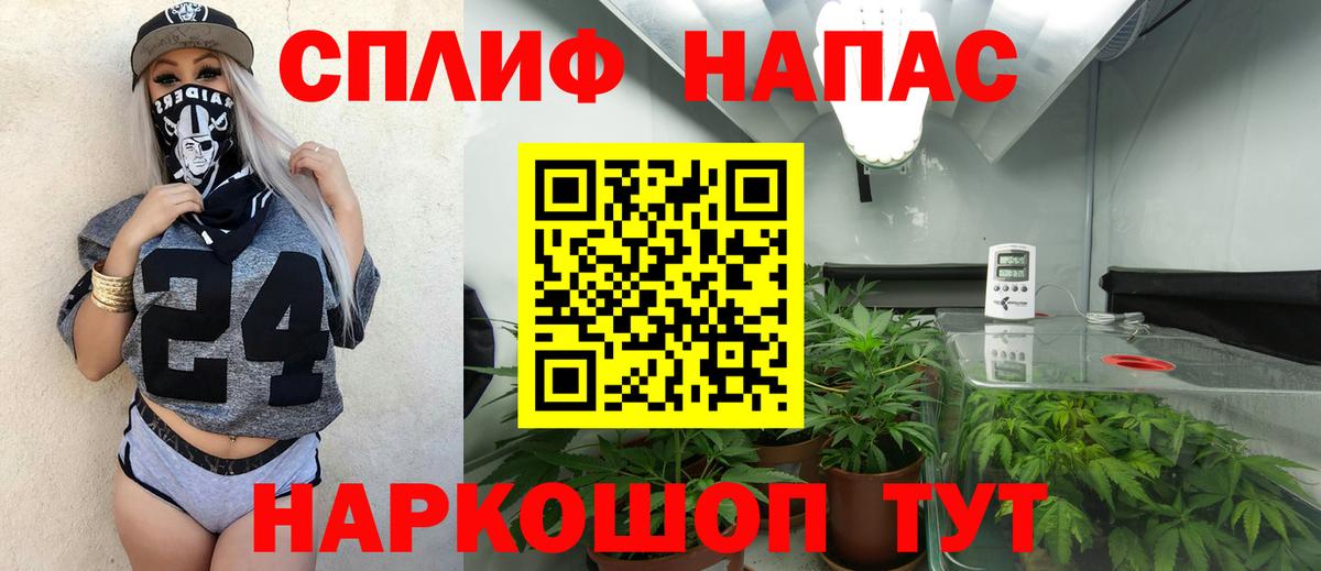 Каннабис семена Кушва